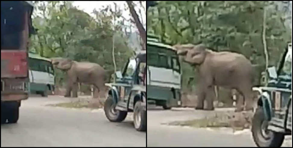 उत्तराखंड हाईवे पर हाथी: Uttarakhand ramnagar highway elephant