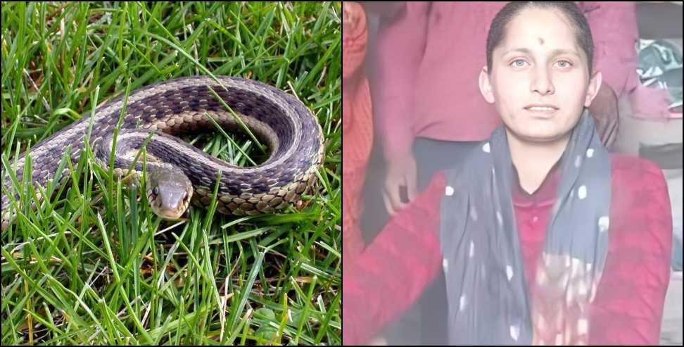 17 year old girl dies due to snake bite