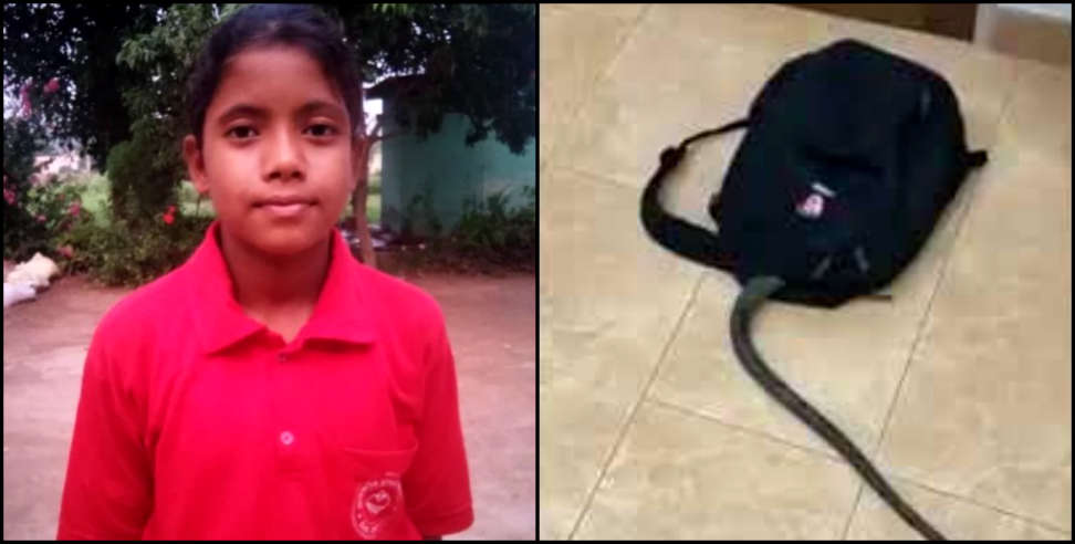 उत्तराखंड न्यूज: uttarakhand snake found in school girl bag