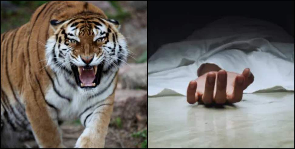 Woman dies tragically in tiger attack