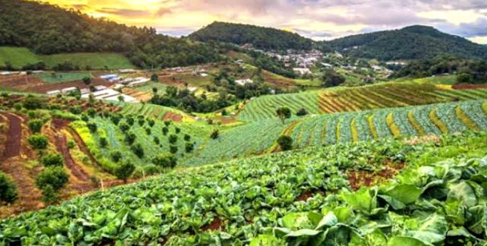 Migration in Uttarakhand: Youth doing self employment after left job in foreign