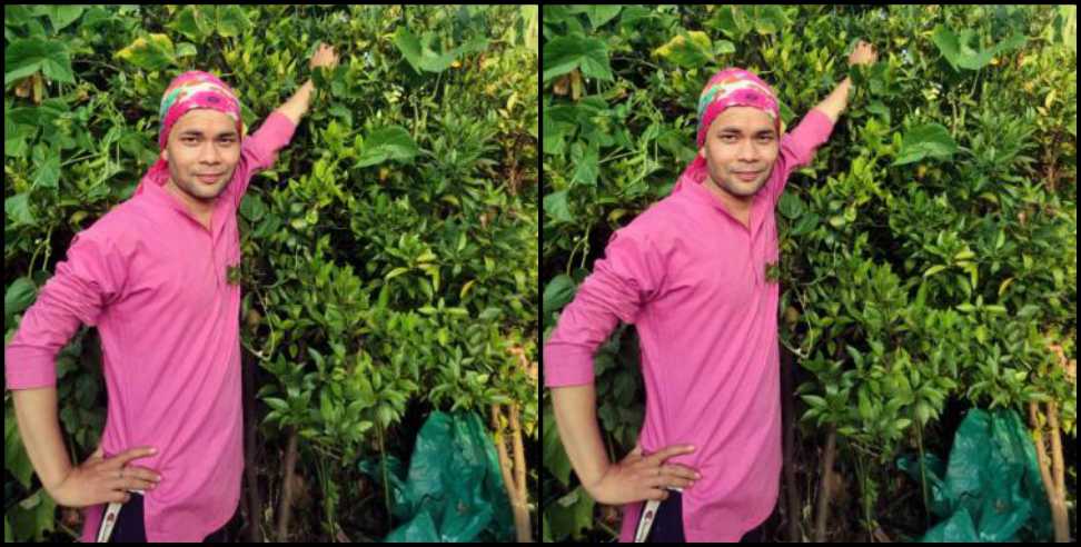 Almora News: Almora farmer grows 9 feet tall capsicum plant