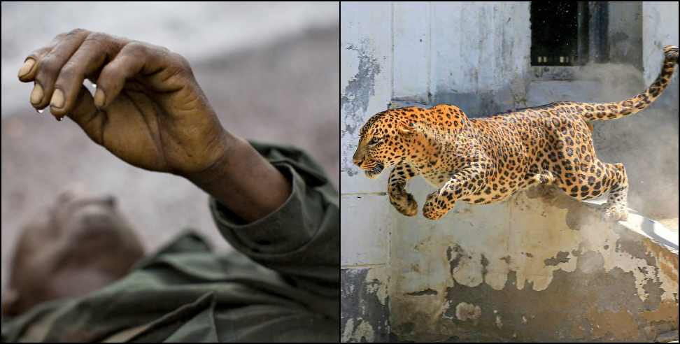 Lansdowne  guldar jawan attack: Leopard attack on Lansnayak Lalit Mohan in Lansdowne