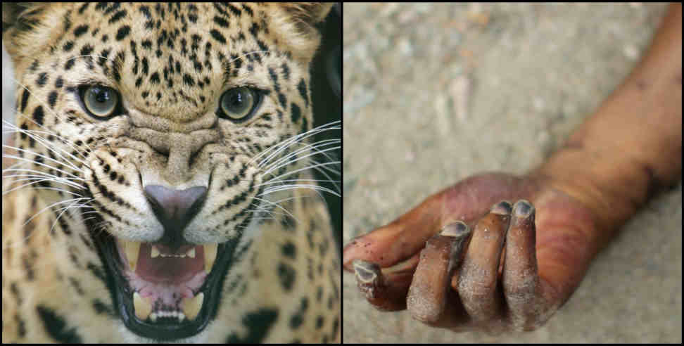 Leopard attack: Leopard killed a man at haridwar