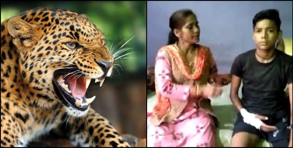 Almora News: Leopard attack on Adarsh ​​Bora in Someshwar