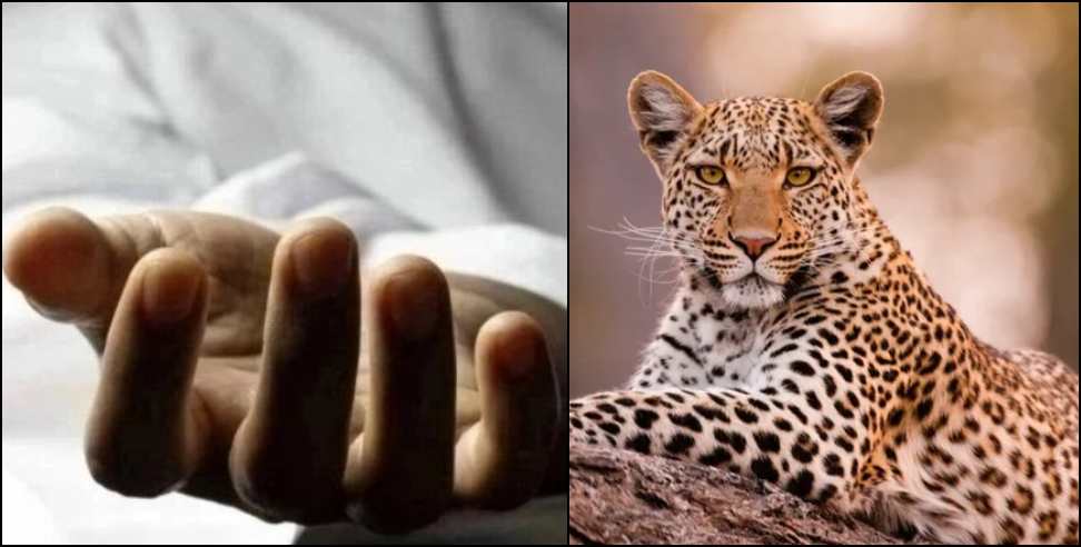 leopard attack Uttarakhand: Man dies after leopard attack in Dehradun