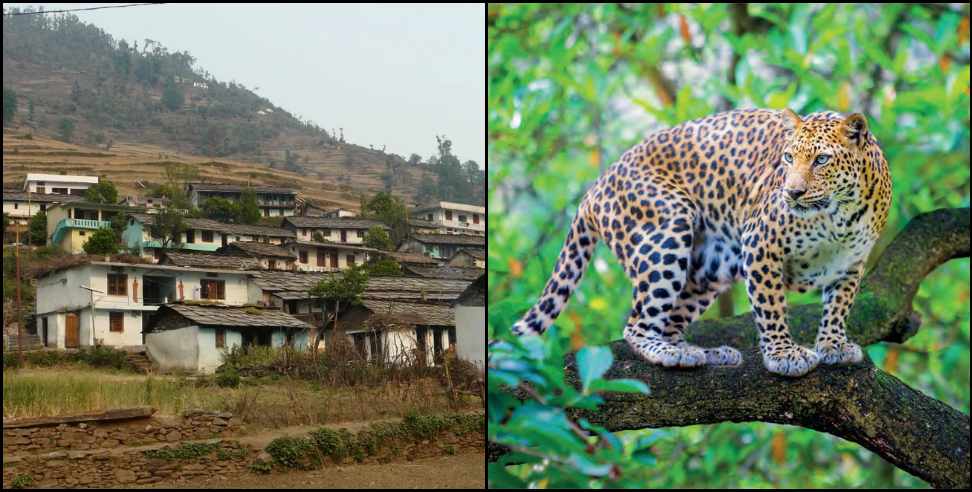 pauri garhwal bharatpur village guldar: Bharatpur Pauri Garhwal People left village because of Leopard