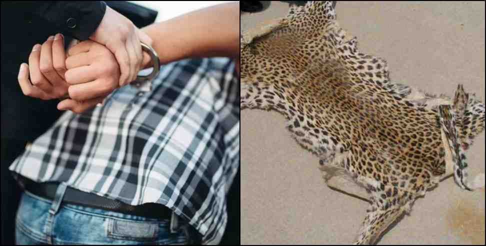 haldwani leopard skin: Smuggler arrested with leopard skin in Haldwani
