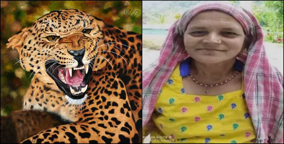 Pauri Garhwal Leopard: Leopard attack on woman in Pauri Garhwal
