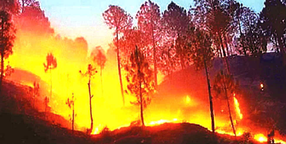 जंगलों में आग: 37 lakh hectare forest fire threat in Uttarakhand