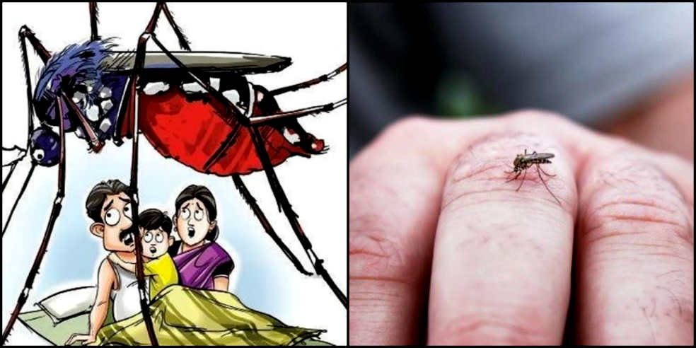 dengue in doon: Four including child die from dengue in doon