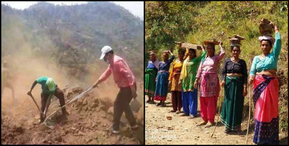 Pauri Garhwal Mangaliya Village Road: Villagers built road in Pauri Garhwal