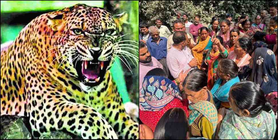 Pauri Garhwal Leopard Attack: Woman Killed in Leopard Attack in Uttarakhand