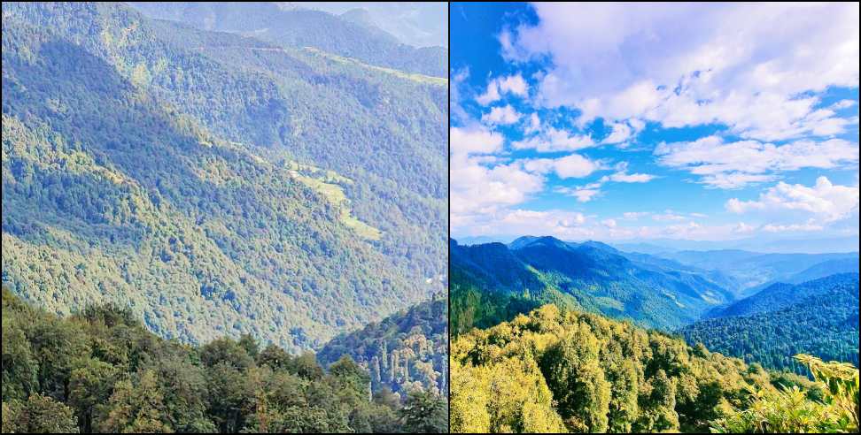 Uttarakhand Forest Department: Forests Department to Receive 1000 Crore for Carbon Sequestration