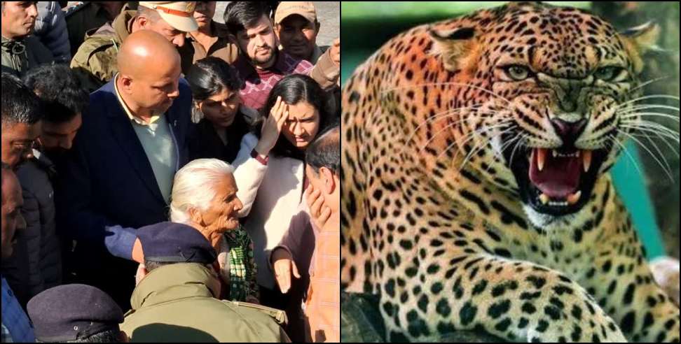 Leopard attacks: Leopard terrorizes in Pauri Garhwal