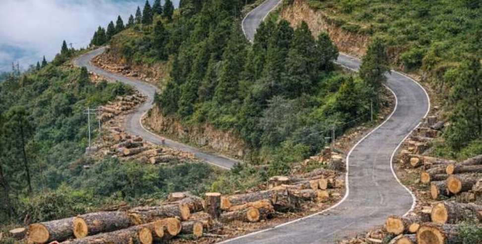 Champawat Bypass Construction: Champawat Bypass Construction 1882 Trees to Be Cut