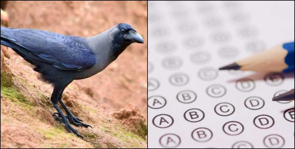 SSJU B Ed-M Ed Answer Key Error Sparks Controversy in Uttarakhand