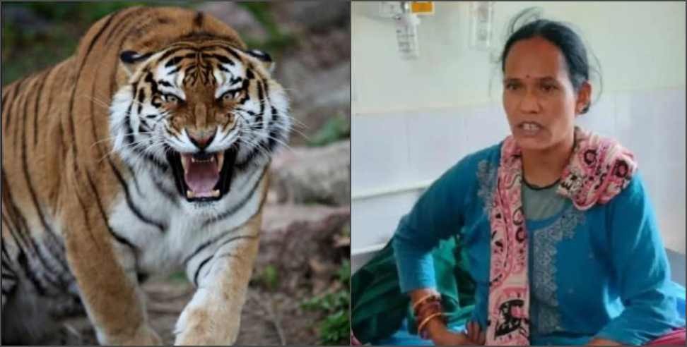 Champawat Janaki Devi tiger: Janaki Devi fought with the tiger in Champawat