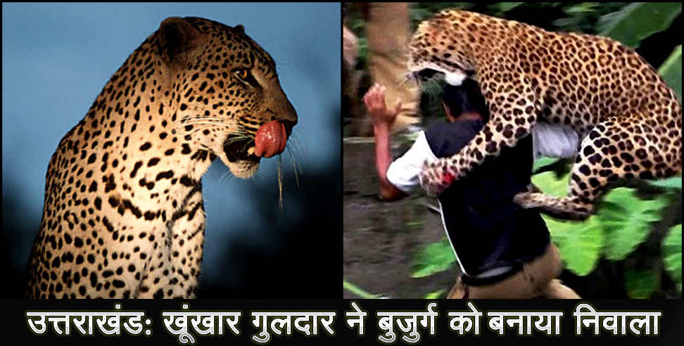 Leopard attack: Leopard killed old man in almora