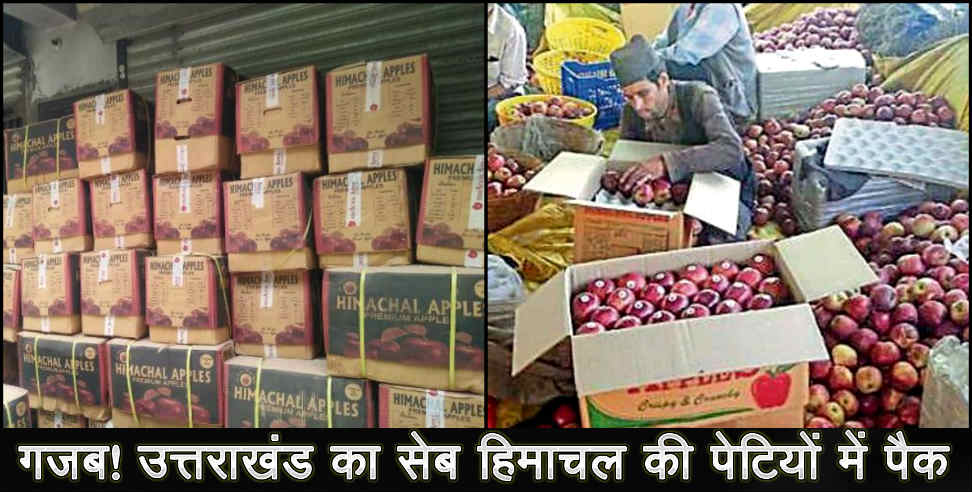 Uttarkashi: Farmers purchased 4.5 lakh cases of apples from himachal pradesh