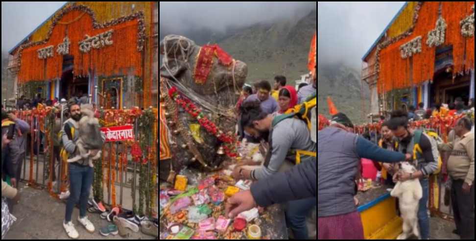 dog in kedarnath video: Pet dog touches Nandi idol in Kedarnath