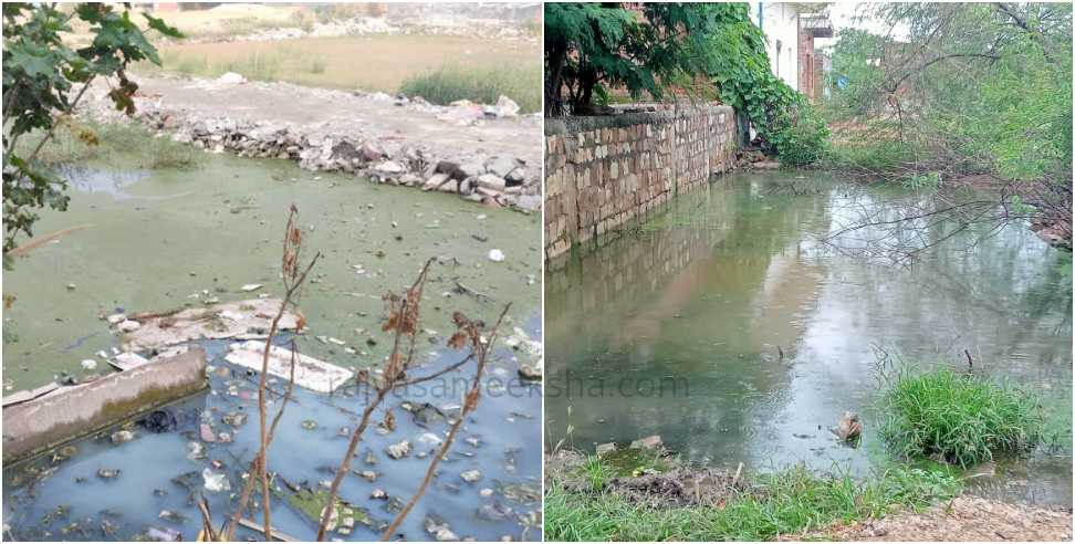 Penalty for filling water in the plot: Police Impose Fine For Water in Empty Plot in Dehradun