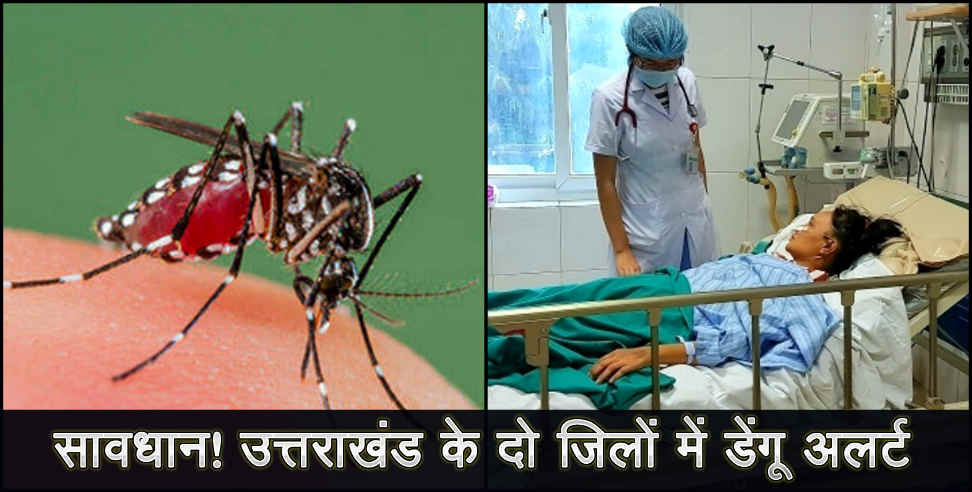 dengue in uttarakhand: dengue patient reach 368 in uttarakhand