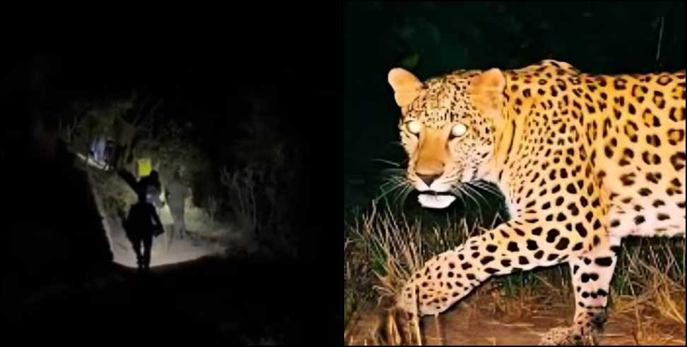Leopard Snatches 5-Year-Old Child in Rudraprayag