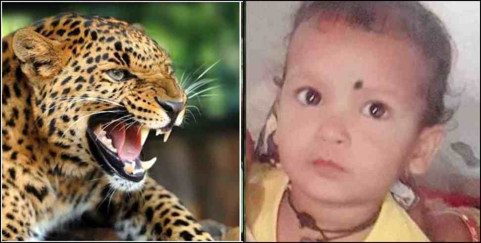 Rudraprayag Leopard Attack: Rudraprayag Agastyamuni Leopard Attack on 3 Year Old Girl