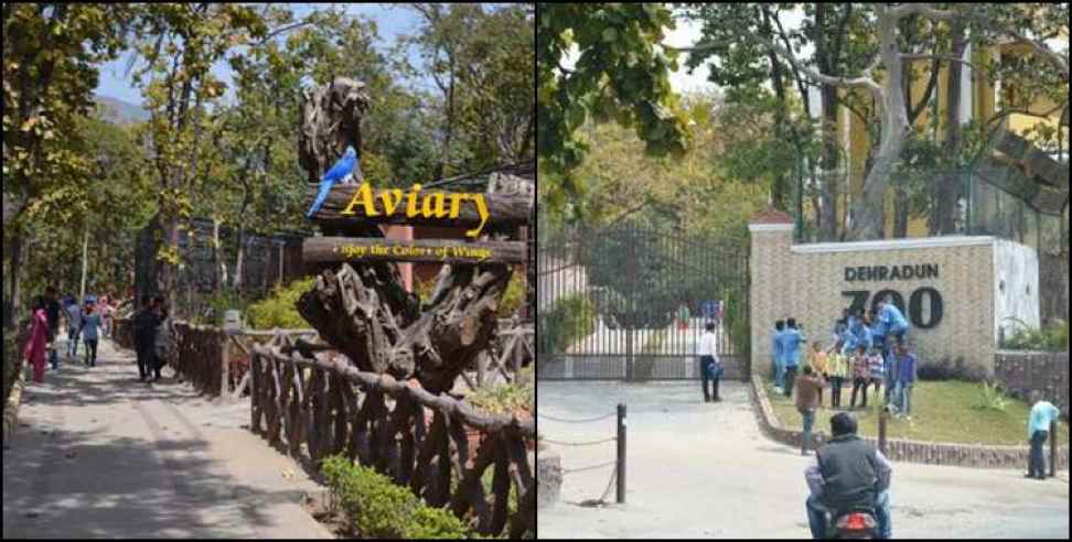 Dehradun zoo: All you should know about dehradun zoo