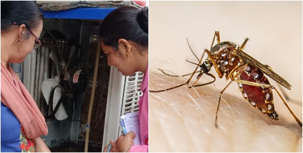 Dengue in Dehradun: There is High Risk of Dengue in These 34 Areas in Dehradun