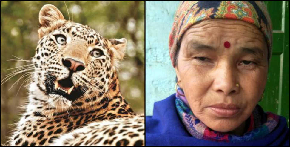 उत्तराखंड न्यूज: Dwarahaat kaushalya devi fought with leopard