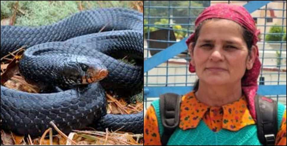 Uttarkashi Snake Bite: Woman Dies of Snake Bite in Uttarkashi
