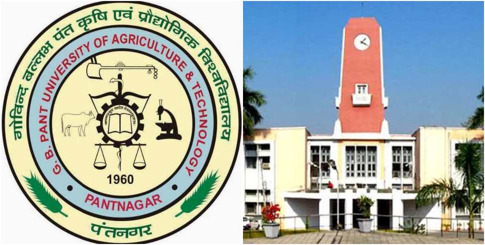 GB Pant University: Recruitment for 260 posts including Professor in GB Pant University