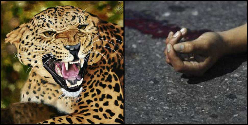 Tehri Garhwal News: Leopard killed 5-year-old girl in Tehri Garhwal