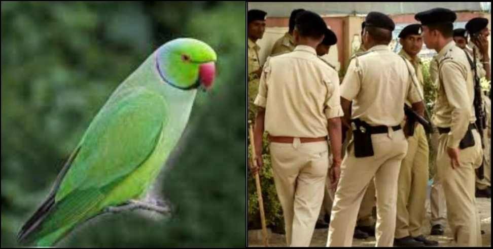 Fight between two women for a parrot in Roorkee