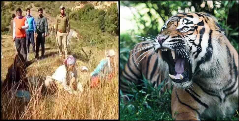 Tiger attack on woman and bike rider in Ramnagar