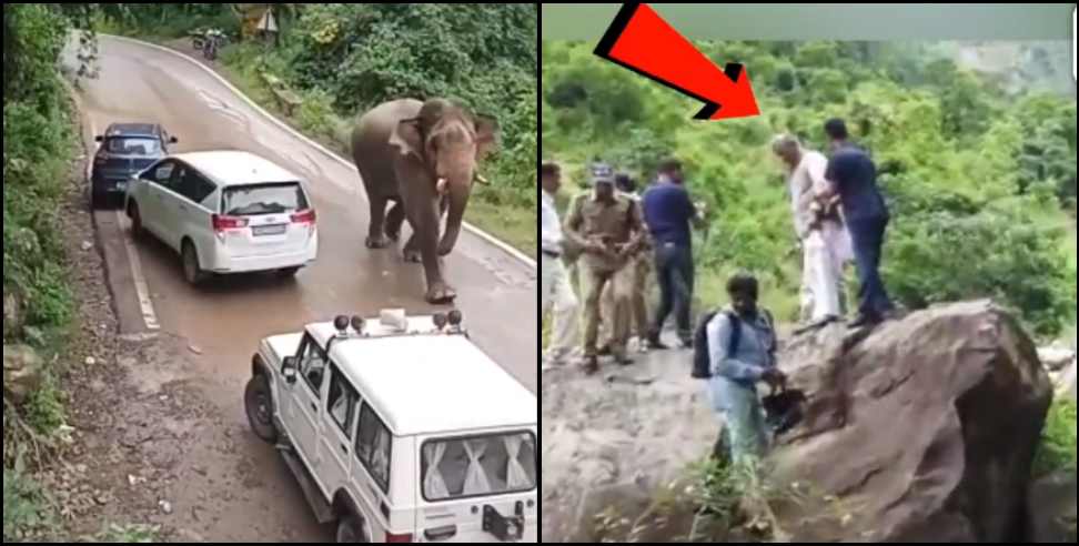 trivendra singh rawat elephant video: Elephant came in front of former CM Trivendra Singh Rawat