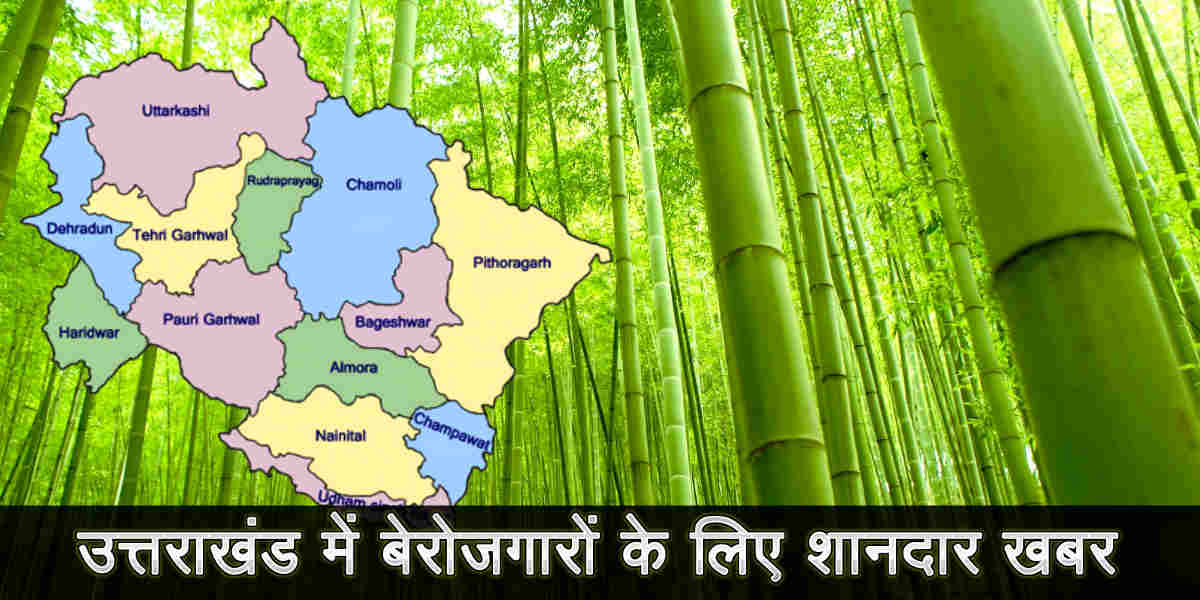 trivendra singh rawat: uttarakhand govt initiative for bamboo planting