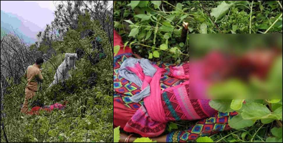 Leopard Uttarakhand: Leopard in Cham village of Tehri Garhwal