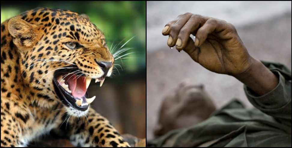 garhwal rifle jawan leopard attack : Leopard attacked a Garhwal Rifles soldier in lancedone