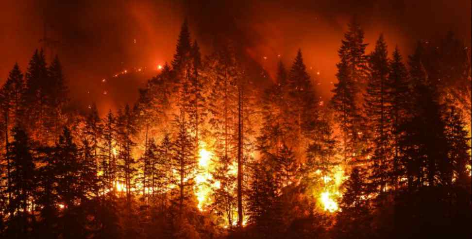 Bageshwar forest fire: Women burn in jungle fire in bageshwar uttarakhand