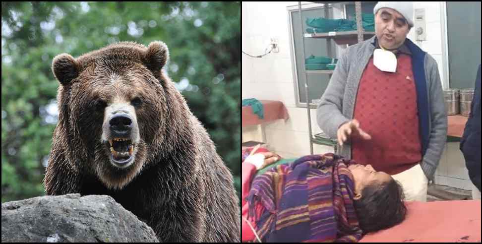 Bear attacks woman: Woman attacked by bear in Srinagar Garhwal markkhoda village