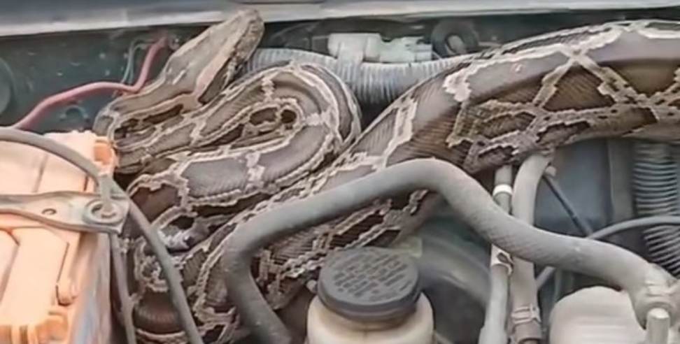Giant Python Found Inside Jeep in Ramnagar