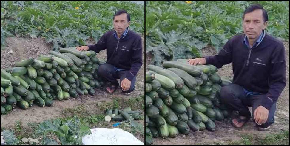 Uttarkashi News: Dalvir a farmer from Uttarkashi made a fabulous income from farming