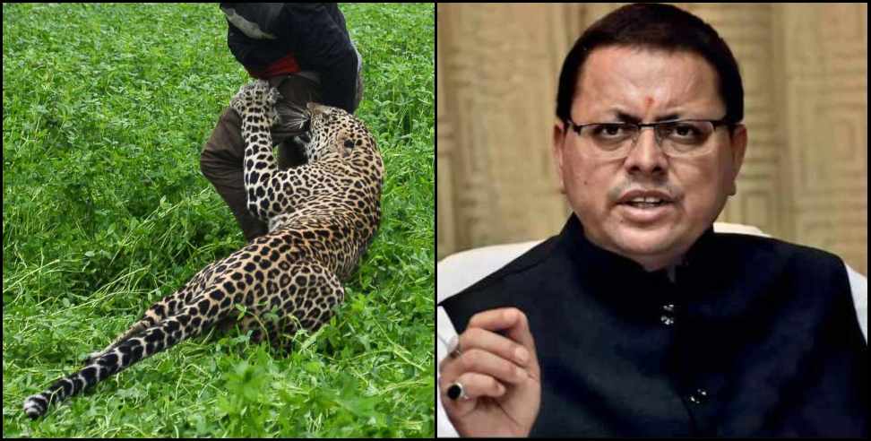 pushkar singh dhami: CM Dhami gave instructions to officers regarding attack of wild animals