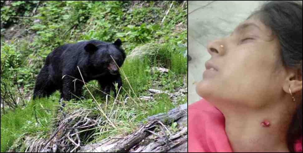 Rudraprayag Kolli village bear woman attack: Bear attacks woman in Rudraprayag