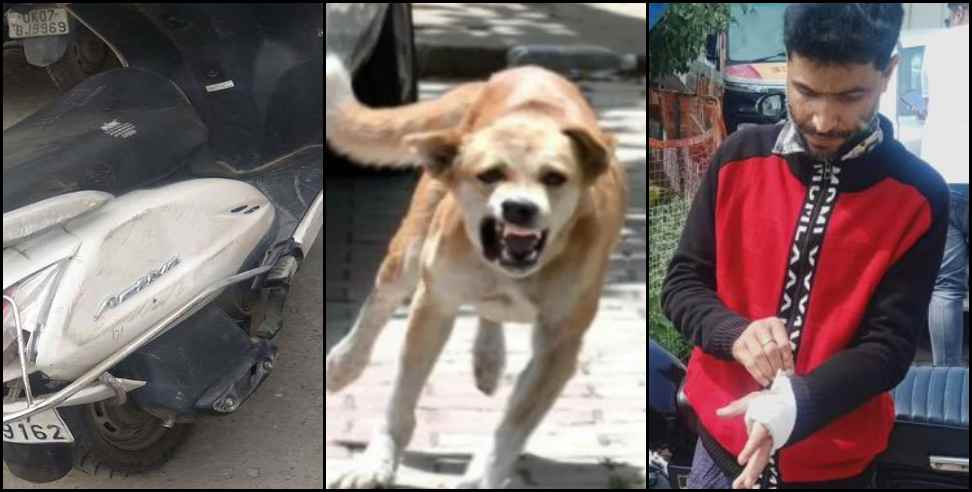 Scooty accident due to stray dogs in Pithoragarh