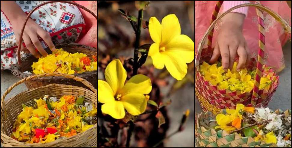 Phuldei festival: Phuldei festival and Story of Phyoli flower