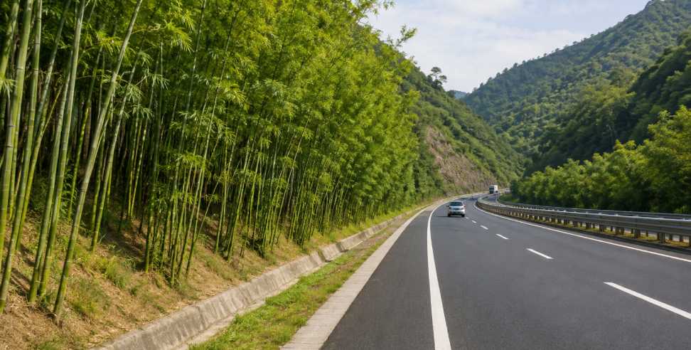 Uttarakhand Expressway Bamboo Plantation: Bamboo to Line Uttarakhand Expressways